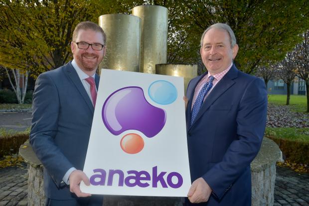 Hamilton welcomes fifteen new jobs at software company Anaeko